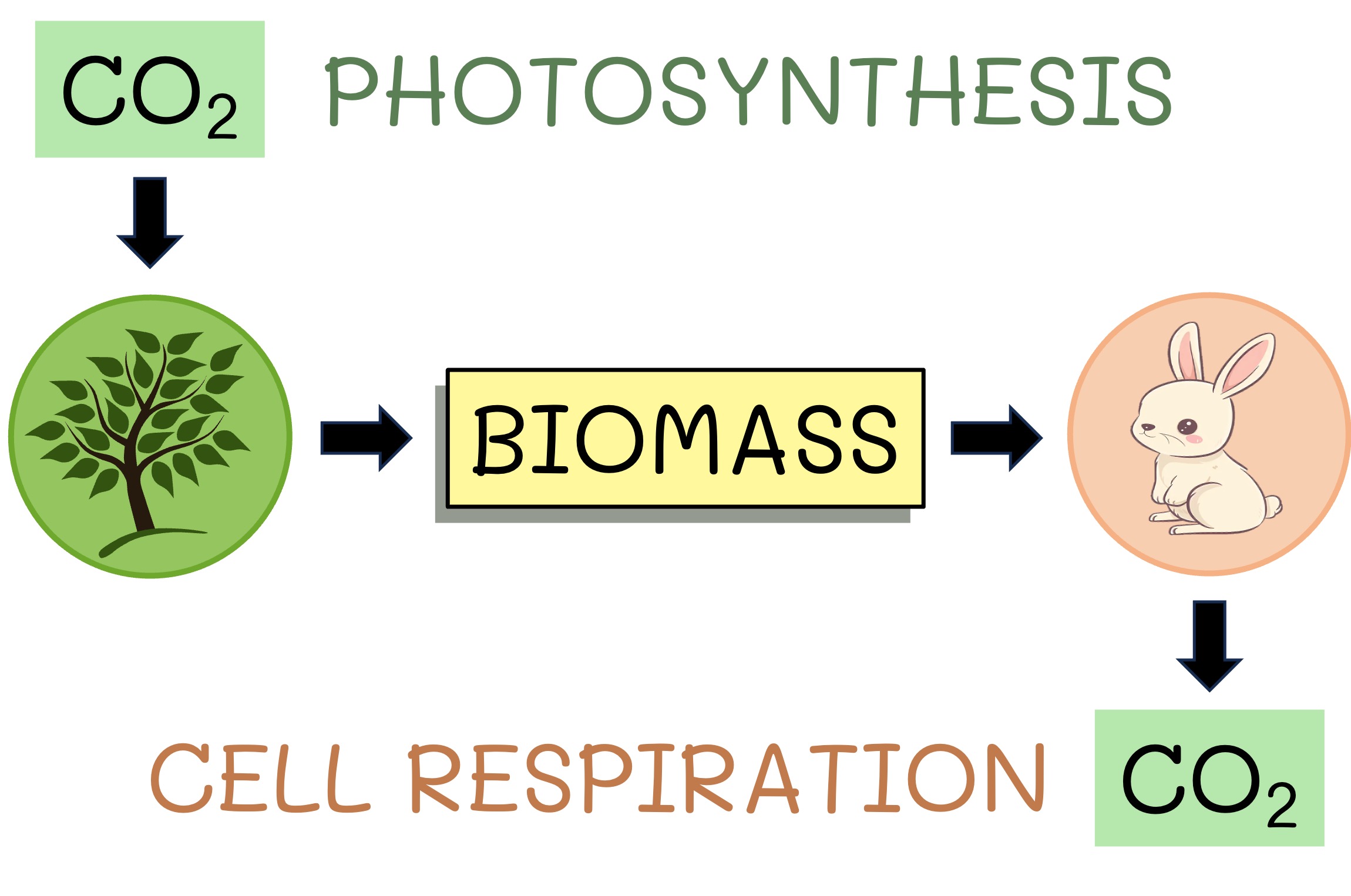 energy%20flow1%20mobile