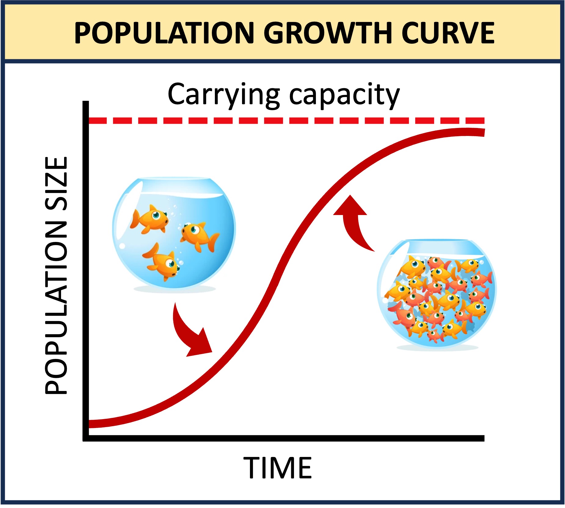 population%20growth%20mobile