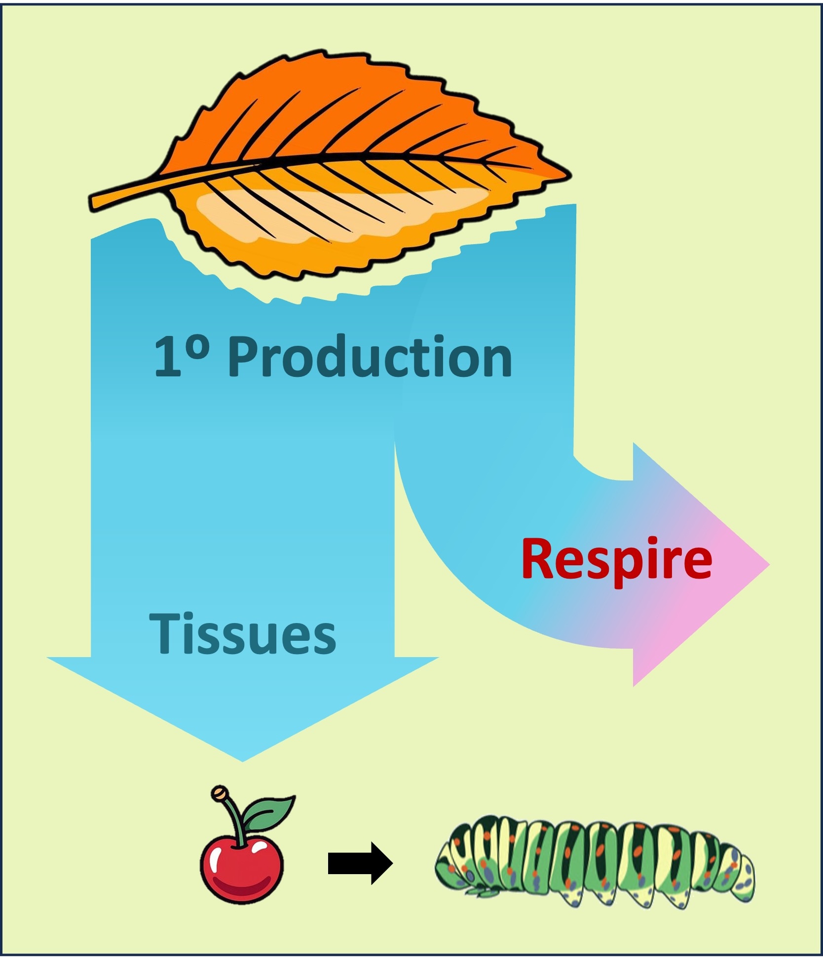 energy%20flow1%20mobile