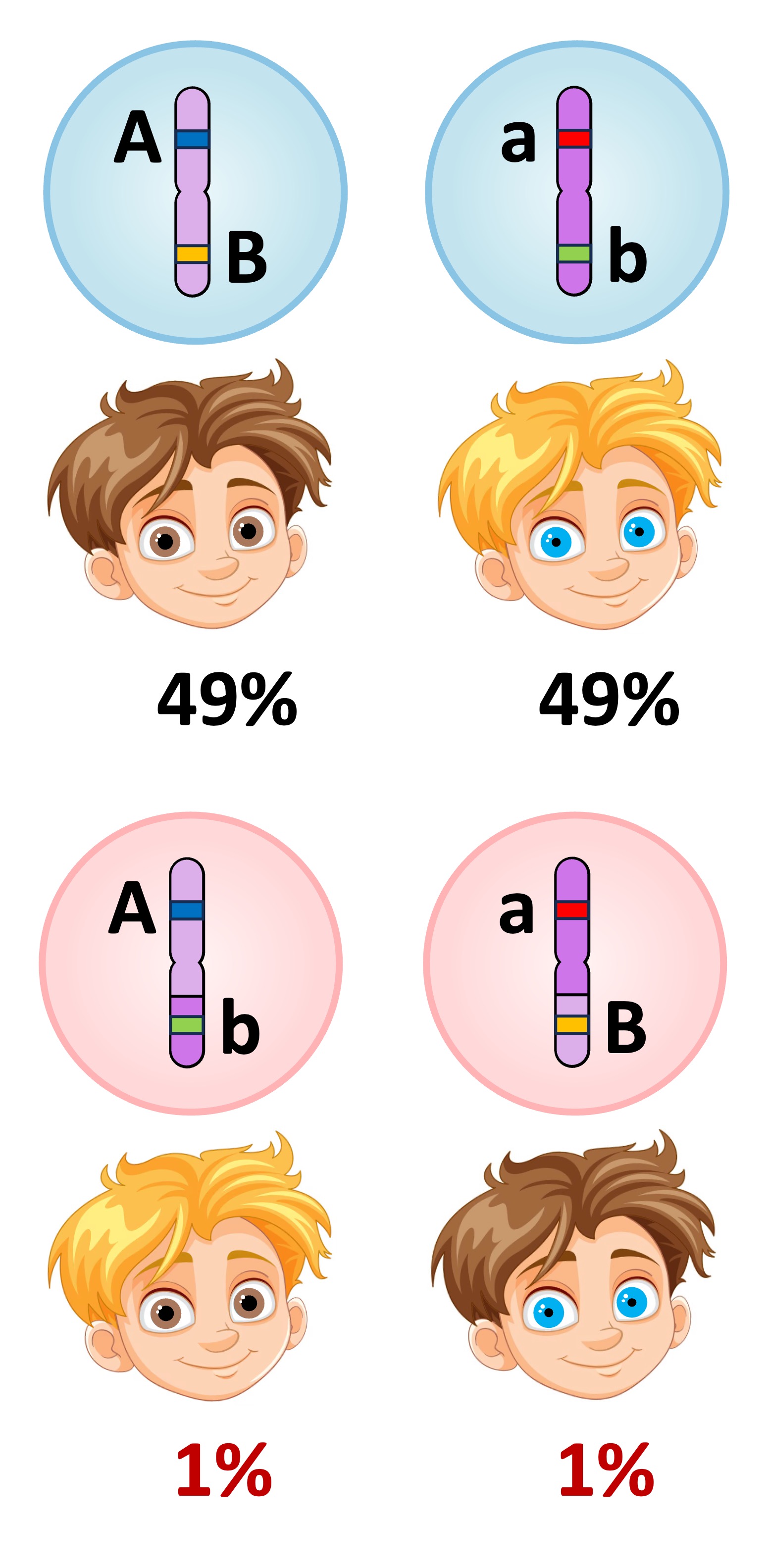 recombinant%20linked%20mobile