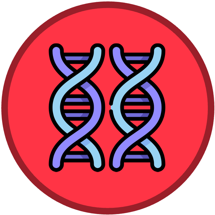 Membrane%20Structure