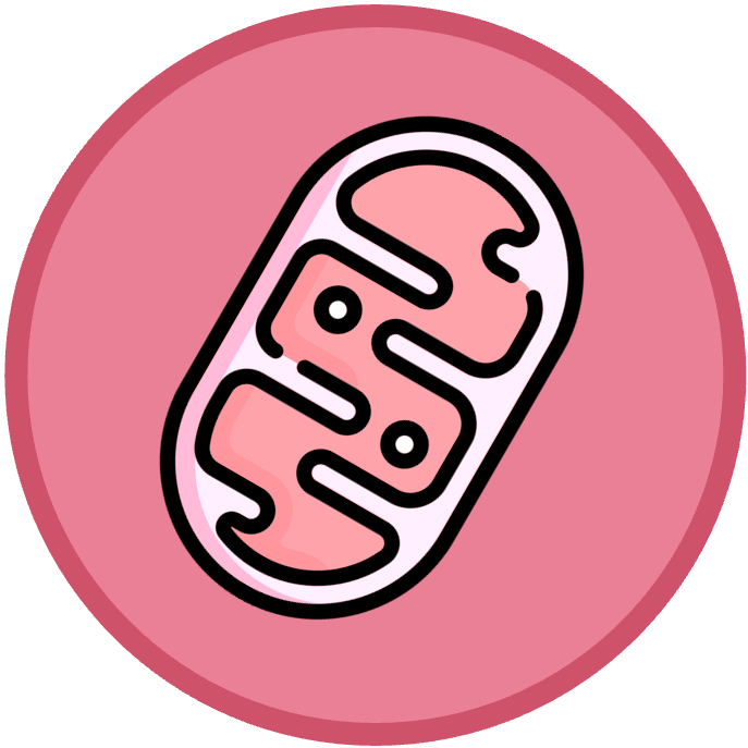 Origins%20of%20Cells