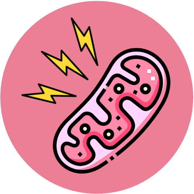 Membrane%20Transport