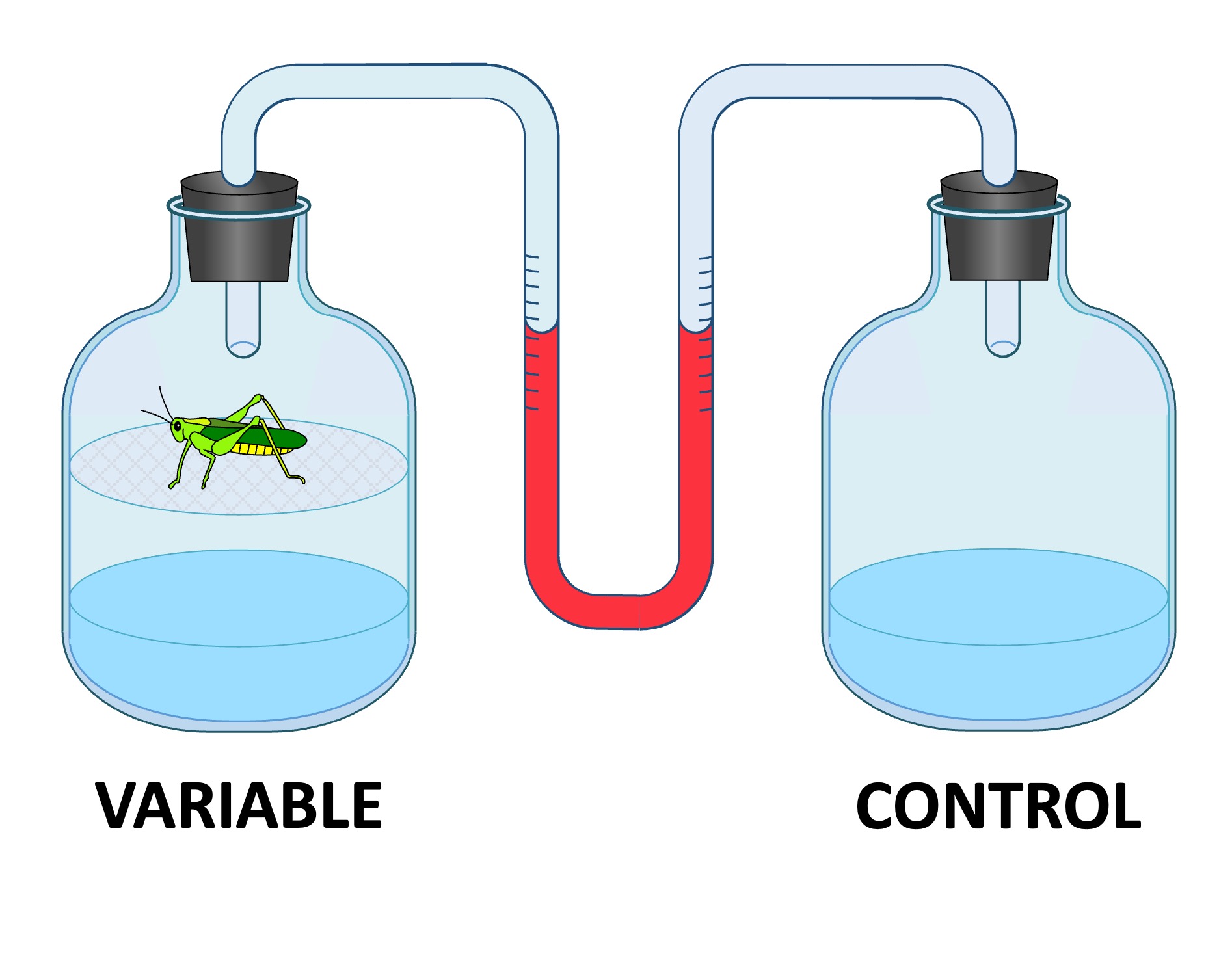 respirometer%20mobilee