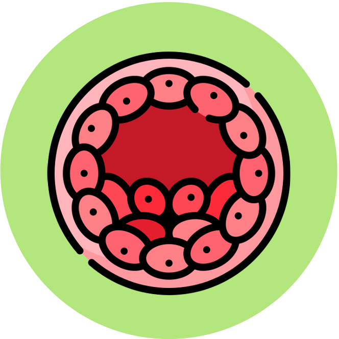 Membrane%20Transport