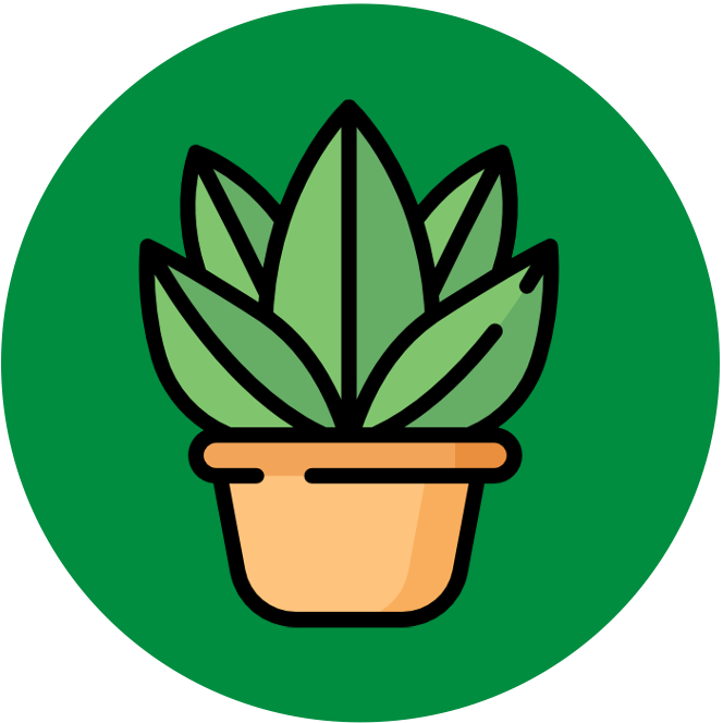 introduction%20to%20cells