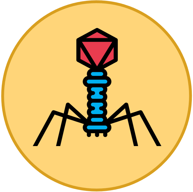 Membrane%20Transport