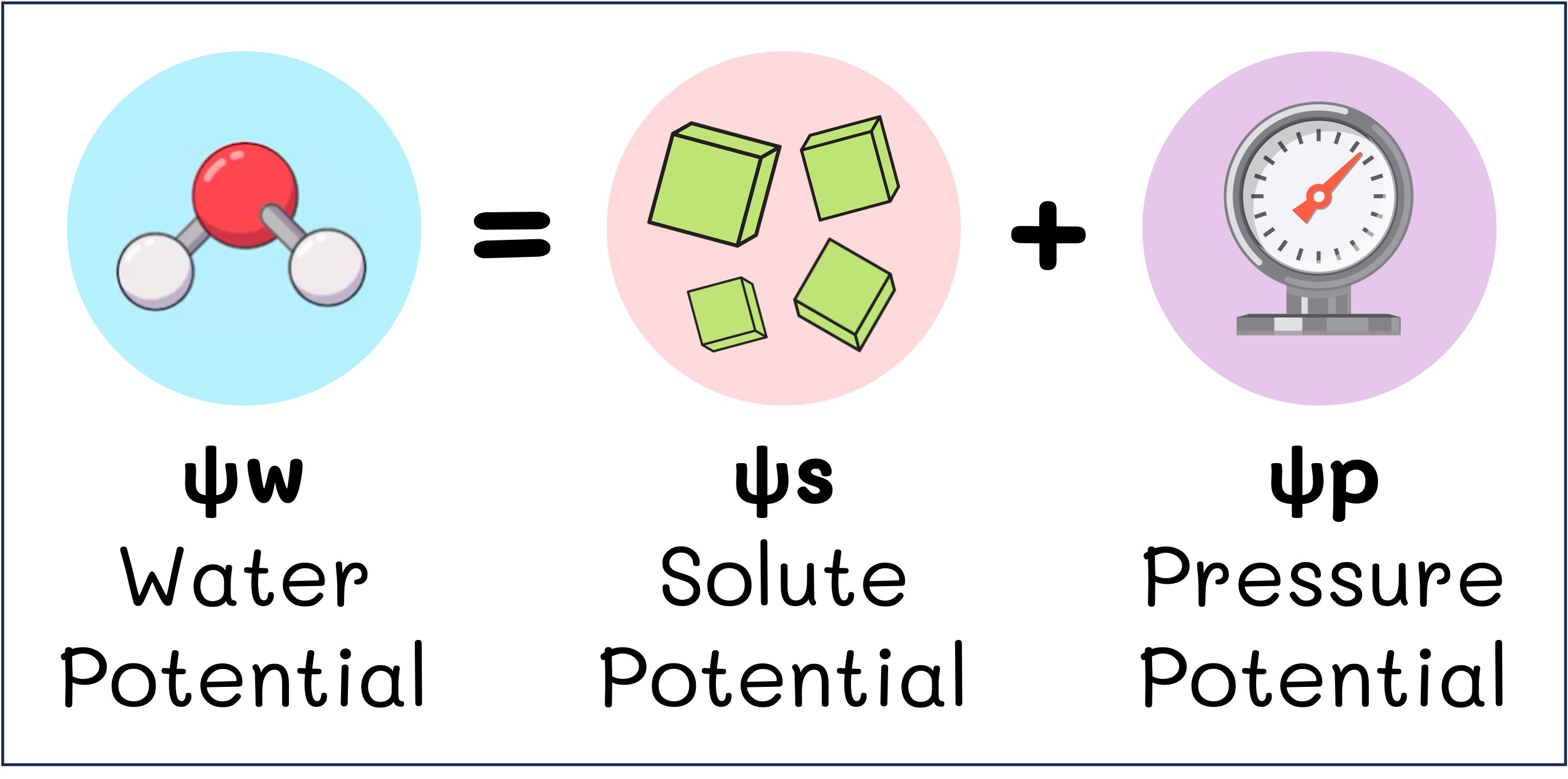 water%20potential%20mobile